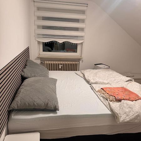 Appartement Am Auepark à Cassel Extérieur photo